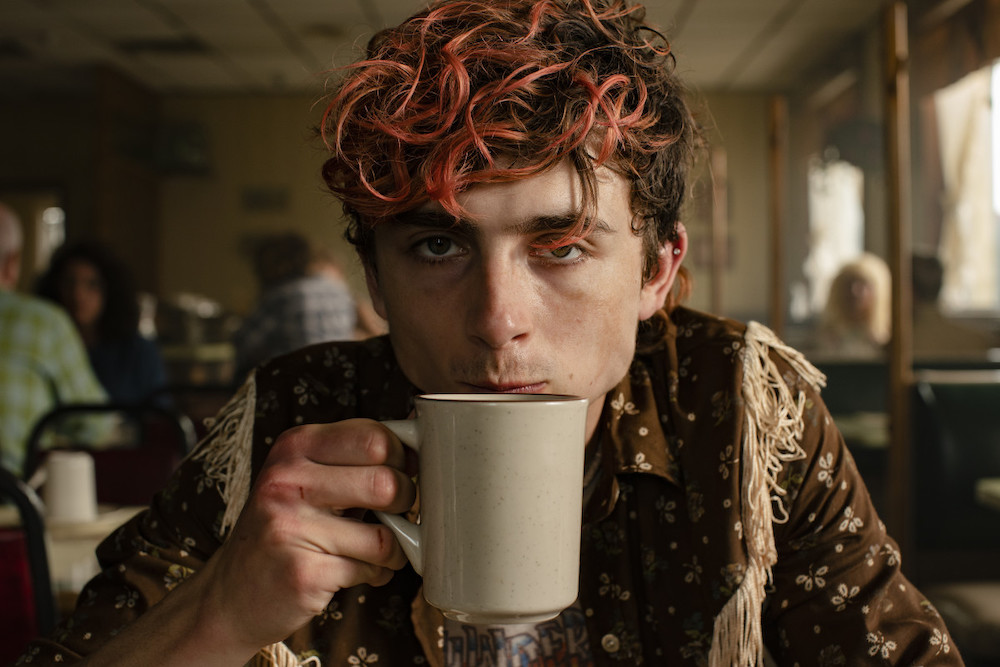 get the look bones and all timothee chalamet menswear
