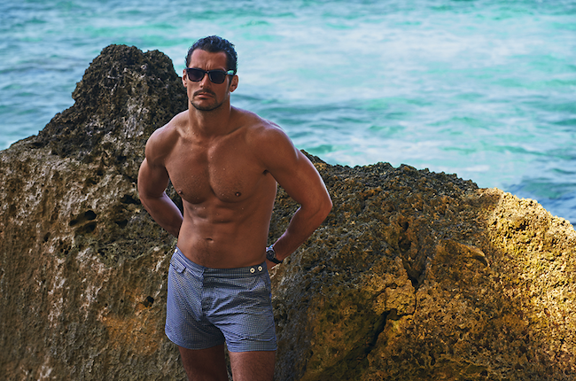 marks and spencer mens swimwear david candy