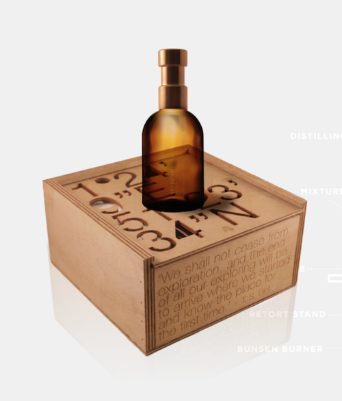 Haeckels perfume margate seaweed
